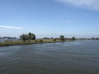 NL, Zuid-Holland, Dordrecht, Kop van de Oude Wiel 4, Saxifraga-Willem van Kruijsbergen