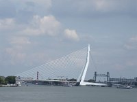 NL, Zuid-Holland, Rotterdam, Erasmusbrug 1, Saxifraga-Willem van Kruijsbergen