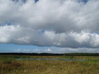 NL, Drenthe, Midden-Drenthe, Oelmers Elp 2, Saxifraga-Hans Dekker