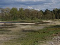 NL, Gelderland, Heumen, Overasseltsche en Hatertsche vennen 99, Saxifraga-Hans Boll