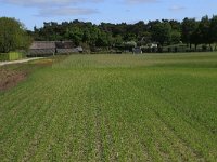 NL, Gelderland, Heumen, Overasseltsche en Hatertse vennen 217, Saxifraga-Hans Boll