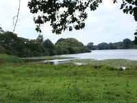 NL, Gelderland, Wijchen, Wijchense vennen 219, Saxifraga-Hans Boll