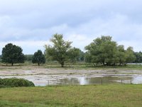 NL, Gelderland, Wijchen, Wijchense vennen 390, Saxifraga-Hans Boll