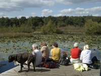 NL, Limburg, Roerdalen, Meinweg, Rolven 9, Saxifraga-Marijke Verhagen