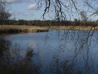 NL, Noord-Brabant, Bergeijk, Liskes Visvijver 15, Saxifraga-Marijke Verhagen