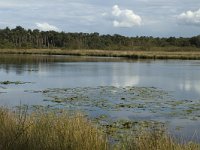 NL, Noord-Brabant, Boxtel, Flessenven 5, Saxifraga-Jan van der Straaten