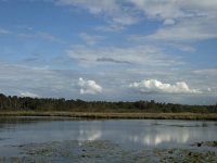 NL, Noord-Brabant, Boxtel, Flessenven 6, Saxifraga-Jan van der Straaten