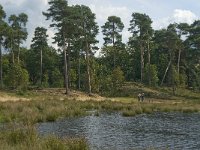 NL, Noord-Brabant, Boxtel, Huisvennen 7, Saxifraga-Jan van der Straaten