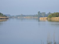 NL, Noord-Brabant, Cranendonck, Ringselven 8, Saxifraga-Tom Heijnen