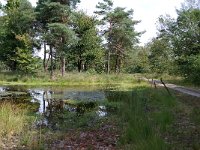 NL, Noord-Brabant, Goirle, Regte Heide 53, Saxifraga-Lucien Rommelaars