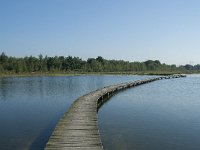 NL, Noord-Brabant, Loon op Zand, Huis ter Heide 18, Saxifraga-Willem van Kruijsbergen