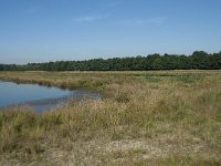 NL, Noord-Brabant, Loon op Zand, Huis ter Heide 19, Saxifraga-Willem van Kruijsbergen