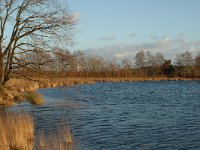 NL, Noord-Brabant, Loon op Zand, Leikeven 2, Saxifraga-Jan van der Straaten