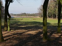 NL, Noord-Brabant, Oirschot, Keijenhurk in Landschotse Heide 6, Saxifraga-Tom Heijnen