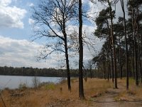 NL, Noord-Brabant, Oisterwijk, Belversven 3, Saxifraga-Marijke Verhagen