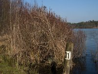 NL, Noord-Brabant, Oisterwijk, Kolkven 1, Saxifraga-Jan van der Straaten