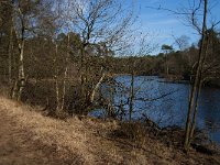 NL, Noord-Brabant, Oisterwijk, Witven 1, Saxifraga-Jan van der Straaten