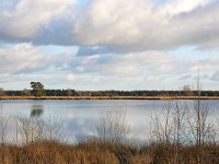 NL, Noord-Brabant, Reusel-De Mierden, Het Goor 1, Saxifraga-Tom Heijnen