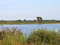 NL, Noord-Brabant, Reusel-De Mierden, Het Goor 2, Saxifraga-Tom Heijnen