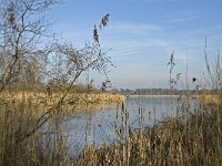 NL, Noord-Brabant, Valkenswaard, Grevenschutsven 4, Saxifraga-Marijke Verhagen