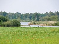 NL, Noord-Brabant, Valkenswaard, Greveschutven in Landgoed Valkenhorst 5, Saxifraga-Tom Heijnen