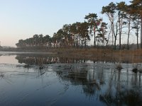 NL, Noord-Brabant, Veldhoven, Groot Vlasroot 3, Saxifraga-Tom Heijnen