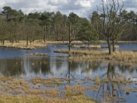 NL, Noord-Brabant, Woensdrecht, de Zoom, Bronven 4, Saxifraga-Jan van der Straaten