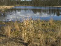 NL, Noord-Brabant, Woensdrecht, de Zoom, Bronven 6, Saxifraga-Jan van der Straaten