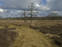 NL, Noord-Brabant, Woensdrecht, de Zoom, Kortenhoeff 6, Saxifraga-Jan van der Straaten