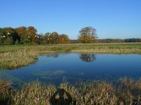 Overijssel