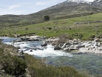 E, Avila, San Juan de Gredos, Rio Barbellido 22, Saxifraga-Willem van Kruijsbergen