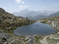 I, Sondrio, Lanzada, Laghi di Campagneda 10, Saxifraga-Willem van Kruijsbergen