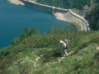 CH, Ticino, Airolo, Lago Ritom 2, Saxifraga-Jan van der Straaten