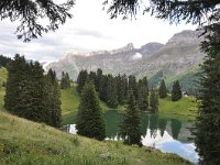 CH, Vaud, Ormont-Dessus, Lac Retaud, Saxifraga-Tom Heijnen