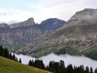 CH, Vaud, Ormont-Dessus, near Lac Retaud, Saxifraga-Tom Heijnen