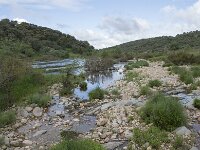 E, Caceres, Torrejon el Rubio, Rio Almonte 8, Saxifraga-Willem van Kruijsbergen