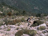 GR, Lakonias, Shela 3, Saxifraga-Jan van der Straaten