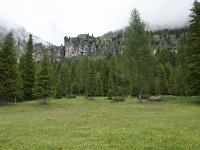 I, Belluno, Cortina de 'Ampezzo, Passo di Falzarego 3, Saxifraga-Luuk Vermeer