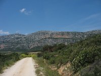 I, Sardegna, Dorgali 2, Saxifraga-Kees Laarhoven : voorjaar 2010