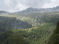 I, Sondrio, Chiesa Valmalenco, Alpe dell Oro 6, Saxifraga-Willem van Kruijsbergen