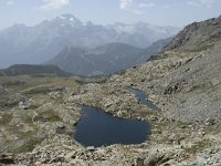 I, Sondrio, Lanzada, Laghi di Campagneda 1, Saxifraga-Willem van Kruijsbergen