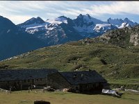 I, Valle d'Aosta, Cogne, Rifugio Sella 3, Saxifraga-Jan van der Straaten