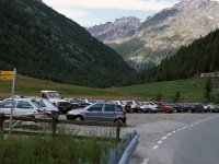 I, Valle d'Aosta, Valsavarenche, Pont 2, Saxifraga-Jan van der Straaten