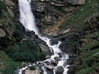 I, Valle d'Aosta, Valsavarenche, Pont 3, Saxifraga-Jan van der Straaten