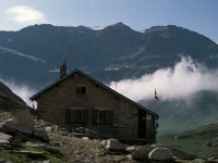 I, Valle d'Aosta, Valsavarenche, Rifugio Citta di Chivasso 1, Saxifraga-Jan van der Straaten