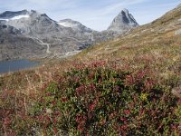 N, More og Romsdal, Rauma, Alnesvatnet 32, Saxifraga-Willem van Kruijsbergen