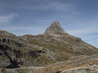 N, More og Romsdal, Rauma, Bispen 9, Saxifraga-Willem van Kruijsbergen