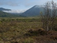 N, Nordland, Andoy, Nordmela 12, Saxifraga-Jan van der Straaten