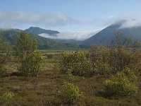 N, Nordland, Andoy, Nordmela 15, Saxifraga-Jan van der Straaten