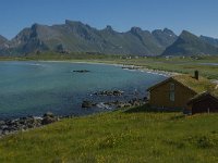 N, Nordland, Flakstad, Fredvang 16, Saxifraga-Jan van der Straaten